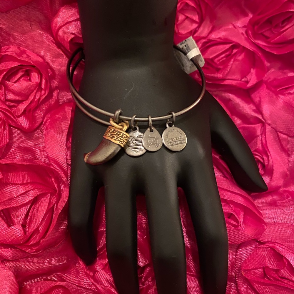 Alex and Ani Horn Charm Expandable Wire Bracelet